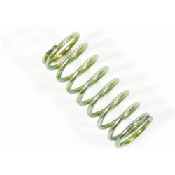 Fiksavimo spyruoklė 10153085N