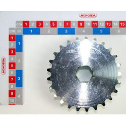 Dviguba pavaros žvaigzdė 12-25T 10125013