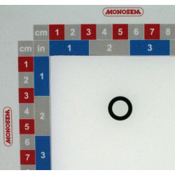 O formos žiedas 10,77x2,62 mm 10219105