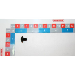 Varžtas TBHC M6x10 10590084