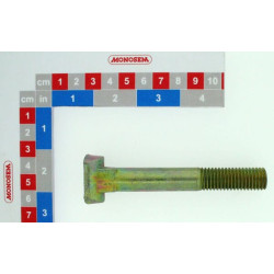 Visas varžtas (A101) 30072046