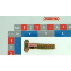 Šešiakampis varžtas DIN931 M10x40 cinkuotas plienas 30512019