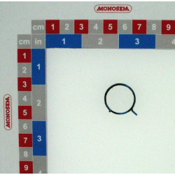 Priešpriešinio griebtuvo spyruoklė (R0R) 10153000