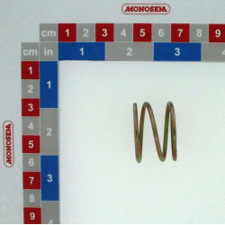 Slėginė spyruoklė (R57) 30150010