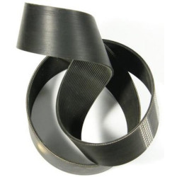 Ypač platus diržas sėjamosioms 10219089N