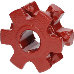 Pavaros žvaigras 2222030000601