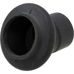 Apatinis silfonas 370004245