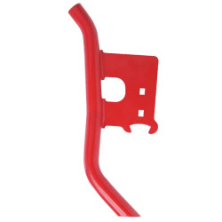 Sėklų noragėlis RH 476458