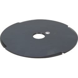 Sėklų diskas A 4 granuliuotai AC853070