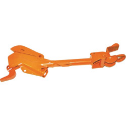 Trumpa akcija 955366