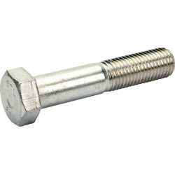 Kaištis 20X 100 8.8 DB113