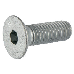 Varžtas 16x60 8.8 A2G DD199