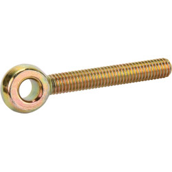 Nerūdijančio plieno varžtas su kilpele 6x45 DA027