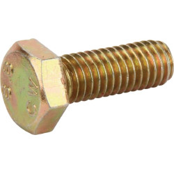 Varžtas 4017 6 x 16 8,8 nerūdijančio plieno DC015