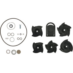 2 colių polikarbonato siurblio remonto komplektas FKM 12000AV