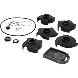 2 colių polikarbonato siurblio remonto komplektas 12000A