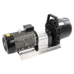 Magnum siurblys L 3" + elektrinis variklis 58161