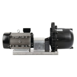 Magnum siurblys L 3" + elektrinis variklis 58161