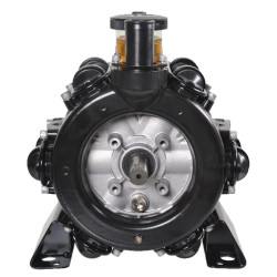 Stūmoklinis diafragminis siurblys BP 205 K 61041001