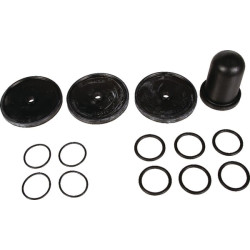 Buna Bertolini membraninis rinkinys 639828973