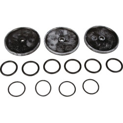 Membranos rinkinys viton PA 330.1/430.1 039879973