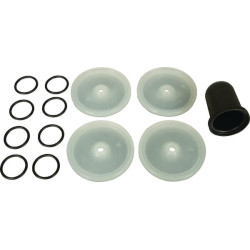 Desmopan Bertolini membranų rinkinys 289887973DS