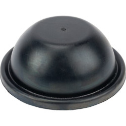 Oro kameros membrana UD090314