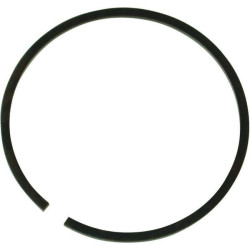 Žiedas Amazone ZF547