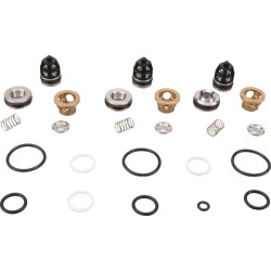 Revizijų rinkinys 50250050