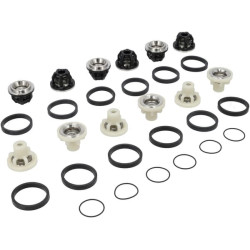 Pilnas vožtuvų mazgų rinkinys 50250048