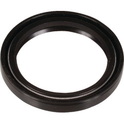 V formos sandariklis Ø 38x48mm Bertolini 802170002