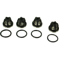 Vožtuvų komplektas 2 cilindrams AR2364