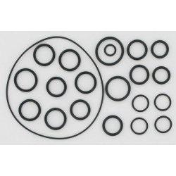 O formos žiedų rinkinys AR202 / 252 AR2409