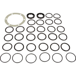 Bertolini siurblio atsarginių dalių rinkinys 149883973