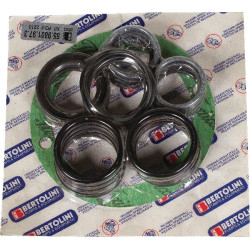 Bertolini siurblio atsarginių dalių rinkinys 559801973