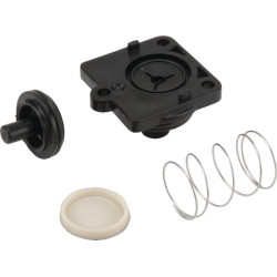 Atbulinis vožtuvas „Shurflo“ DIP9491003