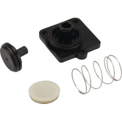 Atbulinis vožtuvas „Shurflo“ DIP9491003