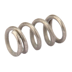 Purkštuvo spyruoklė 005860060