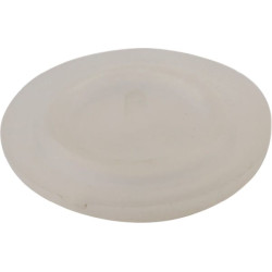 Atbulinio vožtuvo diafragma 4245 424510060