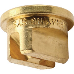 Juostinis antgalis TP 110° 05 žalvaris TeeJet TP11005