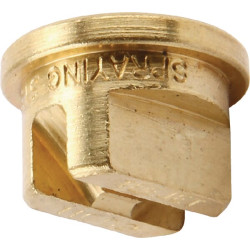 Juostinis antgalis TP 110° 02 žalvaris TeeJet TP11002