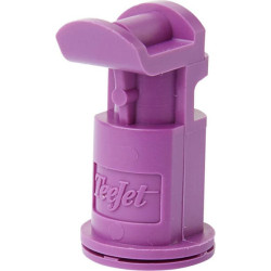 Dvigubo išleidimo antgalis AI3070 110° 025 violetinis plastikinis „TeeJet“ AI3070025VP