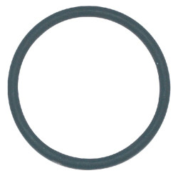 Sandarinimo žiedas 51 mm Viton TeeJet CP77172226VI