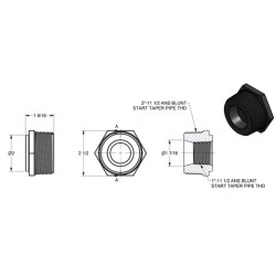 2"MPT x 1" FPT reduktorius RB200100