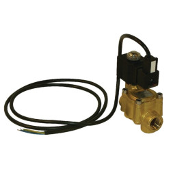 Solenoidinis vožtuvas su trosu, 40 b 20119153