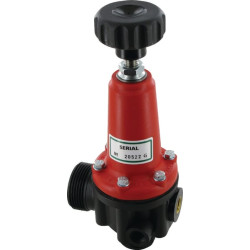 Slėgio mažinimo / reguliavimo vožtuvas 1" x 1 1/4" 15 bar Viton 00200016V