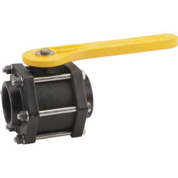 2 colių FP vožtuvas, vidinis-vidinis BSP V200FPB