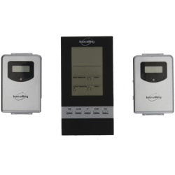 Meteorologinė stotelė, 2 jutikliai SM3002BINO