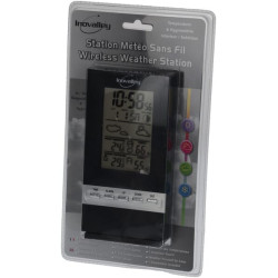 Meteorologinė stotelė, 2 jutikliai SM3002BINO