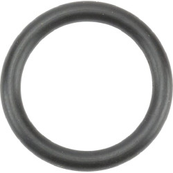 O formos žiedas, skirtas 1/4 SMPT0007